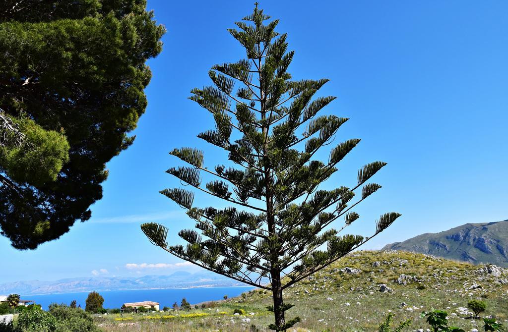 Rustico La Maidda Scopello (Sicily) Bagian luar foto